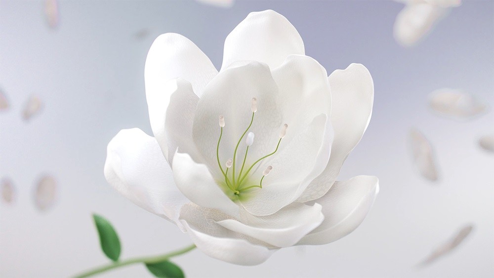 Miss Universe – Vẻ đẹp chân thực lên ngôi